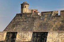 Shore Excursion PRIVATE City tour 