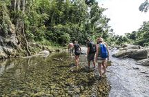 From San Juan: El Yunque Rainforest Hiking Adventure
