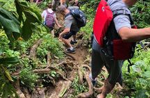From San Juan: El Yunque Rainforest Hiking Adventure