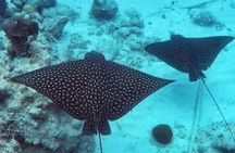 Sail/Snorkel Adventure from Sapphire Marina,STT NO CROWDS~ 6 GUEST MAX 