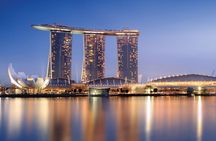Lion City Night Out + Roundtrip Transfers