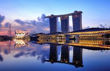 Lion City Night Out + Roundtrip Transfers
