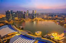 Lion City Night Out + Roundtrip Transfers