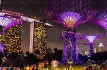 Lion City Night Out + Roundtrip Transfers
