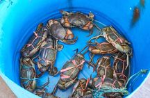 Private Tour: Crab Island Sightseeing Boat Ride and Seafood Lunch