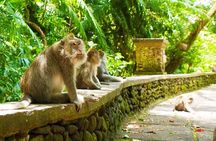 Bali Ubud Tour