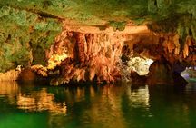 Tortugas & Cenotes Snorkel With Turtles Tour