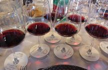 Wine Tasting, Dinner and Cooking Class Under the Sunset