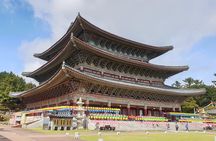 Jeju Premium Small Group UNESCO Day Tour - South Course