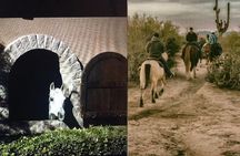 Scottsdale Horseback Riding and Horse Country Estate Tour