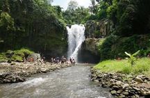 Ubud And Sunset Tanah Lot Tour 