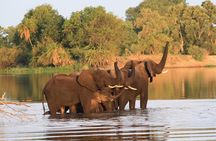 Chobe Full Day Trip