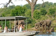 Chobe Full Day Trip