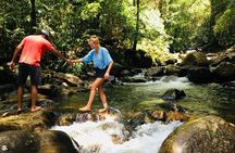 Explore Singharaja Forest Reserve (mirissa/weligama & Galle)