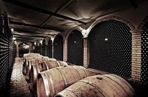Cantine Bosco Nestore - Wine tour e Tasting 