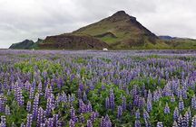 South Coast. Private Day Tour from Reykjavik