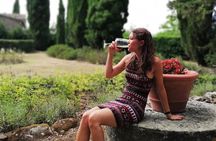 Chianti Wine Tour with Tuscan Lunch Open Top Van