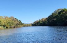 Private tours and transfer Costa Rica