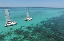 Private Charter Full Day Cruise: Île aux Cerfs