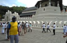 Private all inclusive Day tour Kandy, Pinnawala, & your own selected attractions
