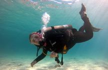 Try scuba dive 