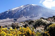5 Days Marangu Route - Mount Kilimanjaro Trek