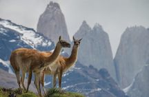 Self Drive Experience in Torres del Paine National Park - 6 Days