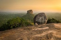 Private Day Trip to Pidurangala Rock & Jeep Safari From Colombo