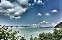 Private custom layover tour - Big Buddha and Tai O - 7 hours