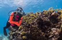 Underwater Museum & Reef Dive in Cancun