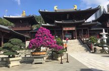 Private tour - Hong Kong's major sites and history