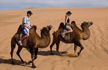 1 Day Semi-Gobi All-included tour 