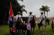 Lima: Premium Peruvian Horse Show with Lunch & Transfers