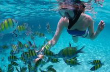 Sail/Snorkel Adventure from Sapphire Marina,STT NO CROWDS~ 6 GUEST MAX 