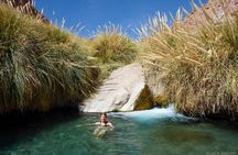 Self Drive Experience in Atacama Desert - 5 Days