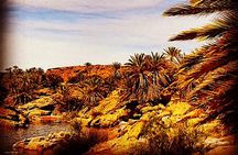4x4 excursion to Safsaf Wild Oasis with traditional Berber picnic
