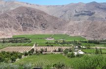 Elqui Valley and Vicuna Private Tour Including Lunch