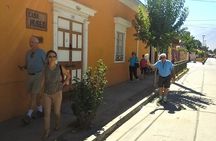 Elqui Valley and Vicuna Private Tour Including Lunch