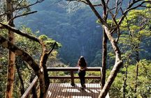 Rio in One Day Private Tour with Christ the Redeemer by Train