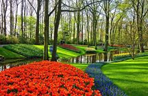 Private Tulip Fields, Windmills and Cheese Tour from Amsterdam