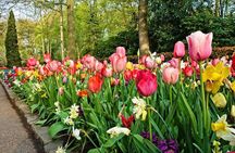 Tour to Giethoorn and Keukenhof Tulip Fields from Amsterdam