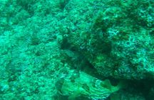Private Bahia de Banderas south beaches adventure