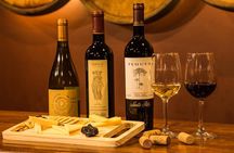 Santa Rita Winery Premium Tour