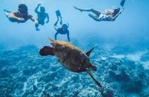 Oahu Small Group Snorkel Tour with Yacht Cruise