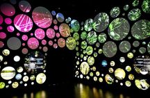 Museum of Tomorrow Guided Tour, Admission & Transfer