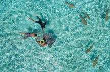 Toa Boat Bora Bora Private Lagoon tour On Majestic Pontoon Boat