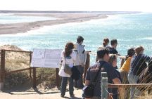 Cruise Shore Excursion Peninsula Valdes - Pto Madryn - Patagonia - Argentina