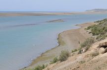 Peninsula Valdes Full Day Tour
