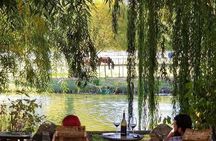 Vineyard Wine Tasting Tour