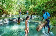 Private Mayfield Falls Waterfalls Tour [ Transportation ]